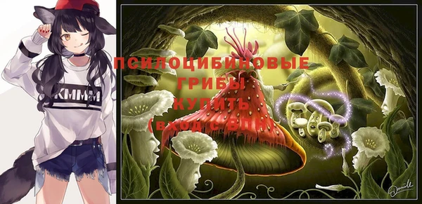 PSILOCYBIN Сосновка