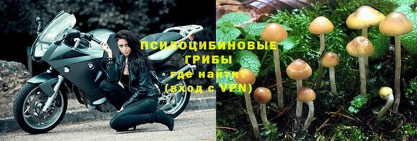 герыч Сосновый Бор