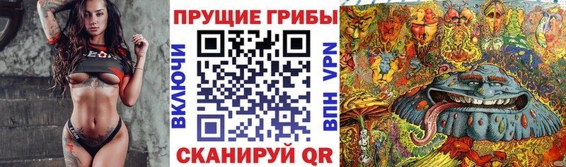 Псилоцибиновые грибы ЛСД  МЕГА как войти  Феодосия  где можно купить наркотик 