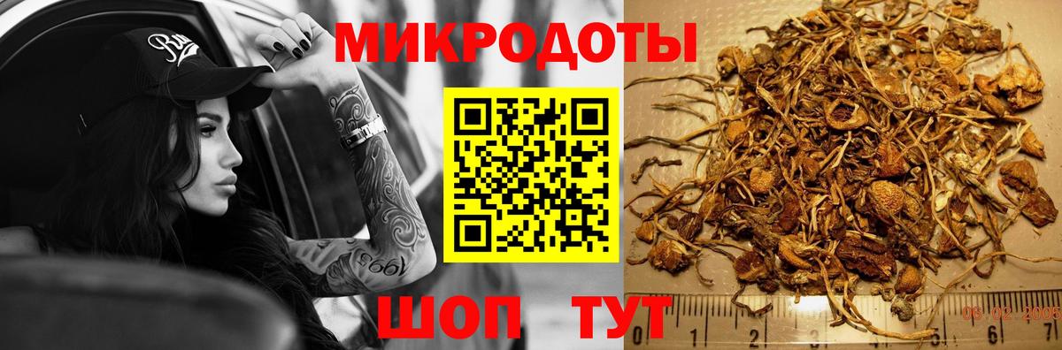 Галлюциногенные грибы Psilocybine cubensis Феодосия